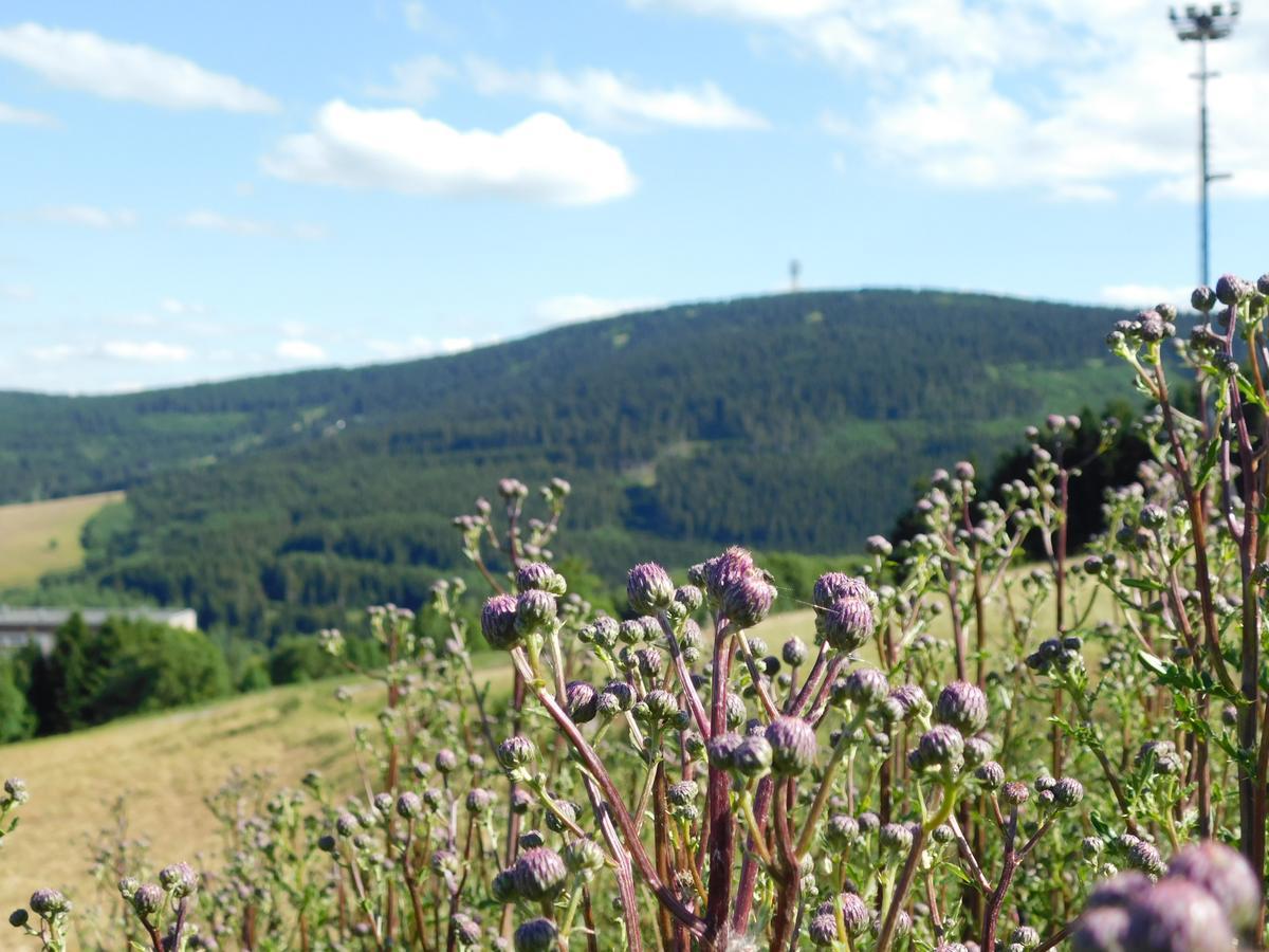 Rathaushotels Oberwiesenthal All Inclusive Exterior foto