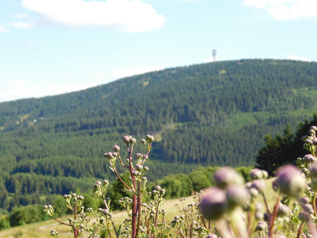 Rathaushotels Oberwiesenthal All Inclusive Exterior foto
